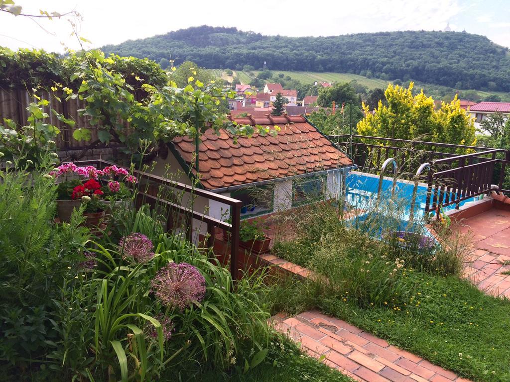 Pension Crhan Mikulov Exterior foto